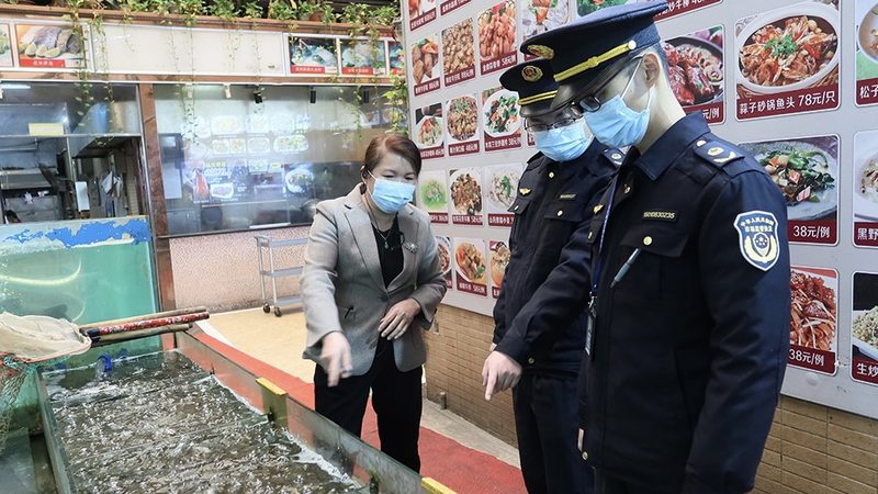 零食批发商代理条件：揭秘行业门槛与机遇